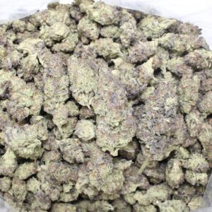 Gushmitz ( OZ Only )