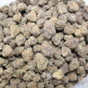 Mendocino Purple
