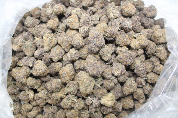 Mendocino Purple