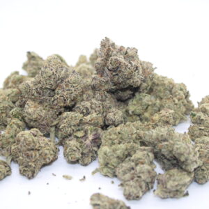Lemon Heads ( Maven Genetics )