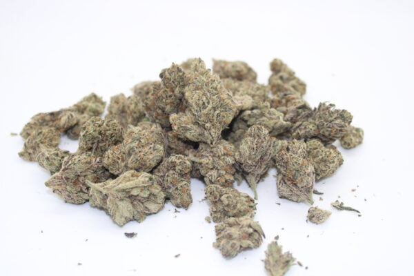 French Lotus ( Maven Genetics )