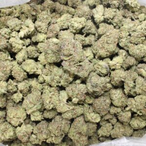 Gelato Runtz